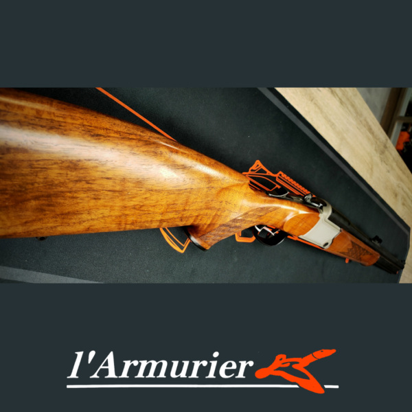 Blaser mixte B97 - bi calibre